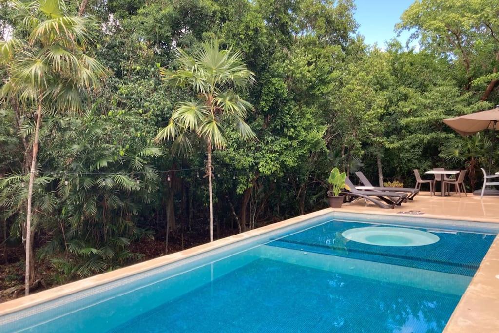 Xetna Aku-Chic Newly Furbished Condo Jungle Pool מראה חיצוני תמונה