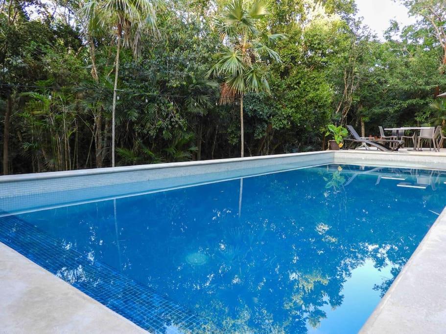 Xetna Aku-Chic Newly Furbished Condo Jungle Pool מראה חיצוני תמונה